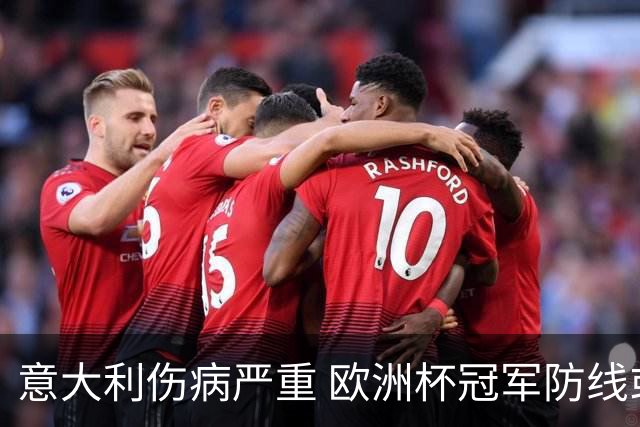 意大利伤病严重 欧洲杯冠军防线或全部无法上场